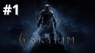 COMENZAMOS SKYRIM CON MODS  SKYRIM SPECIAL EDITION  1 [upl. by Aram]