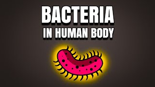 Bacteria In Human Body [upl. by Aleit414]