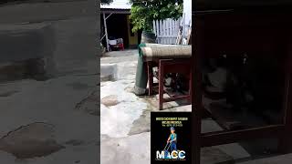 MACC Mank Arul Carpet Cleaner shorts cucikarpet cucikarpetmurah cucikarpetmesjid [upl. by Wynne174]