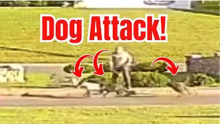 Man Attacked by a Pack of Wild Dogs [upl. by Aleik]