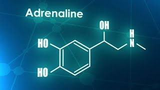 Hướng dẫn sử dụng thuốc Adrenalin hiệu quả trong thú y [upl. by Ailen]