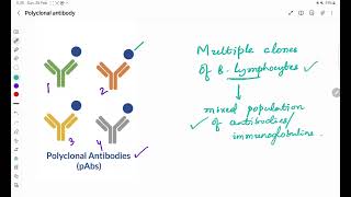 Polyclonal antibody [upl. by Ahker]