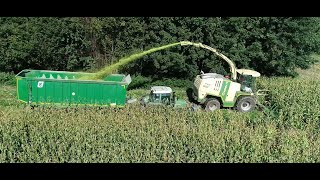 Maishäckseln LU Biggel mit Krone Big X1100 und 12Reihen Maisgebiss Claas Fendt Teil 8 2024 4K [upl. by Fiel]