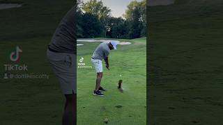 Beaver Tail Divots 🤌🏾 funnygolf golfshorts golffails golfgang wedge theartofsimplegolf [upl. by Nanreik]