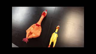 Rubber Chicken [upl. by Joon]