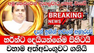 Derana News Breaking News  Now Here is special news  HIRU NEWS BREAKING NEWS Special news h [upl. by Lairea859]