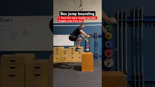 Box jump bounding  Movement technique video [upl. by Kreiker806]