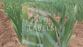 Part 1 Labels  MidAmerica Garden  From Our Field To Your Garden [upl. by Buff]