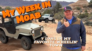 Dirt Daily My Week at Easter Jeep Safari 2024 [upl. by Oneil240]