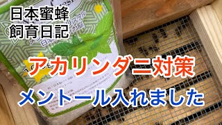 044 日本蜜蜂アカリンダニ対策､メントール効果､使用法､症状､Kウイング､徘徊 [upl. by Kcirb672]