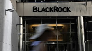 AI Stocks in Focus in BlackRock’s 2024 MidYear Outlook [upl. by Nwahsar]