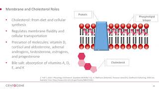 WEBINAR “NiemannPick Type C Two Genes  Many Clinical Pictures  One Unifying Biomarker” [upl. by Esmond]