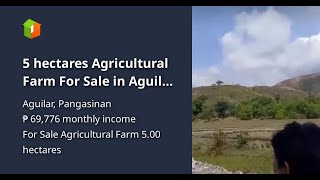 5 hectares Agricultural Farm For Sale in Aguilar Pangasinan [upl. by Jeu]