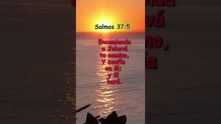 Salmos 375 [upl. by Adnaram719]