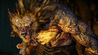 Witcher 3 Morkvarg the Werewolf Boss Fight Hard Mode 4K 60fps [upl. by Madelena]