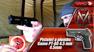 Excellent pistolet a plomb Gamo PT80 45mm très précis [upl. by Lowe]