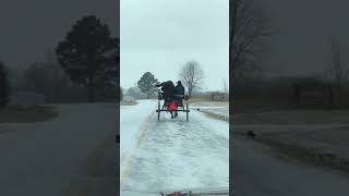 Amish drifting horse n buggy [upl. by Eneleuqcaj885]