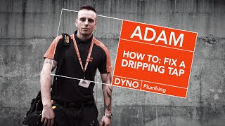 How to Fix a Dripping Tap  Dyno [upl. by Hedwiga633]