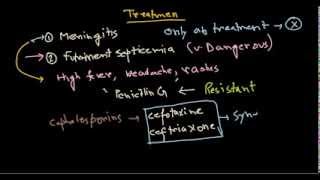 Neisseria meningitidis treatment [upl. by Keelin]