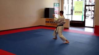 Junro Godan slow motion  Warren Levi Karate [upl. by Anomar]