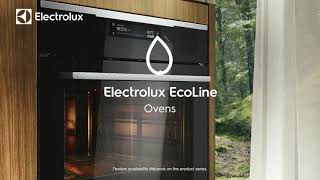 Electrolux EcoLine Ovens [upl. by Nerdna]