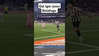 Gol do Botafogo contra o Fortaleza Igor jesus [upl. by Faro]