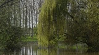 Windmill lakes France  The Tour  Fishing and facilities [upl. by Polak896]