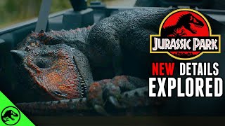 New Jurassic Park Movie Might Be Prequel Set On The Islands [upl. by Trumaine]