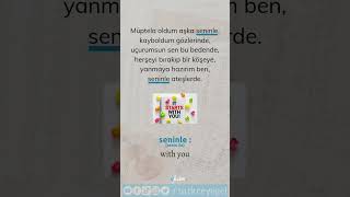 Dinle Mahsun Kırmızıgül  Learn Turkish with Songs  15 [upl. by Trinee]