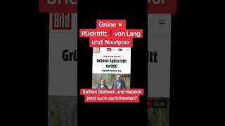 Grüne💥Rücktritt❗von Lang und Nouripour 🇩🇪 [upl. by Ahtamas529]