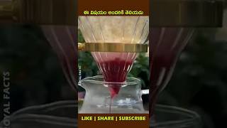 Armenian cochinealytshorts factsintelugu viralvideo shortsvideo [upl. by Ithaman591]