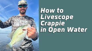 How to Livescope Crappie in Open Water Part 1 [upl. by Eagle]