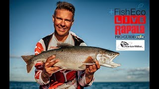 Allt om trolling på Vättern med Ove Johansson  Rapala Proguide [upl. by Thisbe]