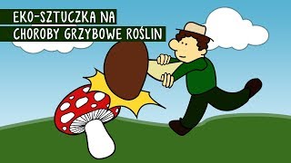 Grzyba zwalcz grzybem Zaskakujący sposób na choroby roślin [upl. by Harrat]