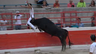 BEAUCAIRE28062024Course CamarguaiseAvenir [upl. by Rehposirhc]