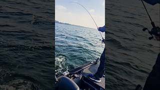 Es beißt im See 🎣 angeln fishing hecht [upl. by Earb]