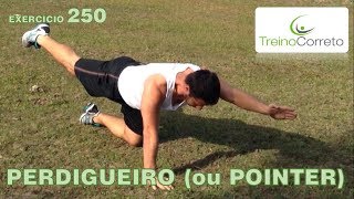 250 Perdigueiro  Treino Correto [upl. by Moffit323]