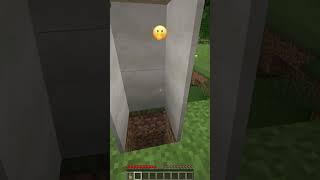 Why All These Villagers Went Crazy shorts meme minecraft [upl. by Yelnats]