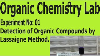 Detection of Nitrogen in organic compounds by Lassaigne method  Detection test for nitrogen [upl. by Idid101]