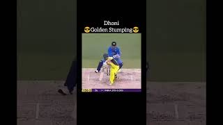 MS Dhoni golden stumping [upl. by Agem]