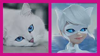 CATS from various CARTOONS IN REAL LIFE  КОТЫ ИЗ РАЗНЫХ МУЛЬТФИЛЬМОВ В РЕАЛЬНОЙ ЖИЗНИ [upl. by Fretwell]