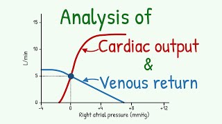 Analysis of Cardiac Output Curve and Venous Return Curves [upl. by Britteny]