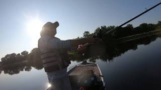 The dog days of summer Underwater footage [upl. by Salisbury]