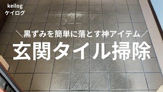 4【玄関タイル掃除】玄関タイルの黒ずみを簡単に落とす神アイテム掃除ミニマリスト50代主婦 [upl. by Eidod458]