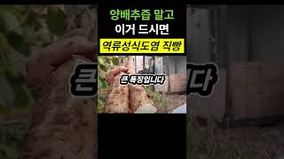 역류성식도염 좋은음식 양배추환 추천 [upl. by Lachlan]