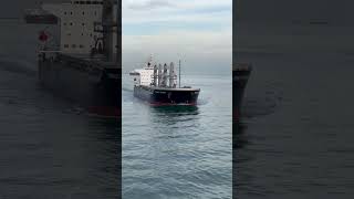 Marine traffic  ship trafiic area  subscribe my chanel if u like more video ♥️🚢 [upl. by Ahsenre613]