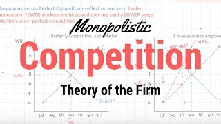 Monopolistic Competition [upl. by Adnolohs97]