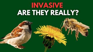 What are Invasive Species  The Difference Between Native NonNative Introduced and Invasive [upl. by Enneyehs]