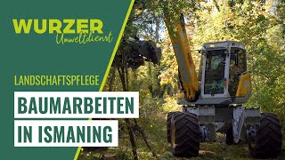 Wurzer Umweltdienst  Baumarbeiten in Ismaning [upl. by Aihtibat]