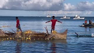 MADAGASCAR Mes 3 premiers jours à NOSY BE entre découverte de lîle et snorkeling avec les tortues [upl. by Regnij]